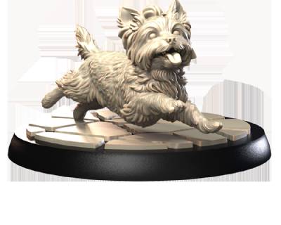 Yorkshire Terrier set (3)